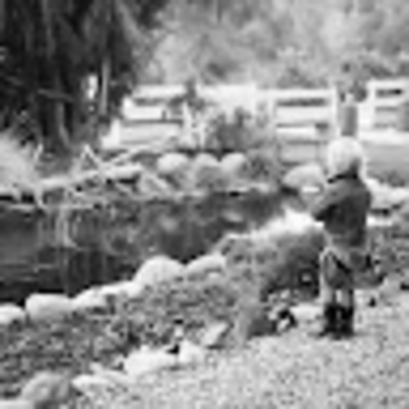 Meet your Posher, Courtney - Picture 1 of 1